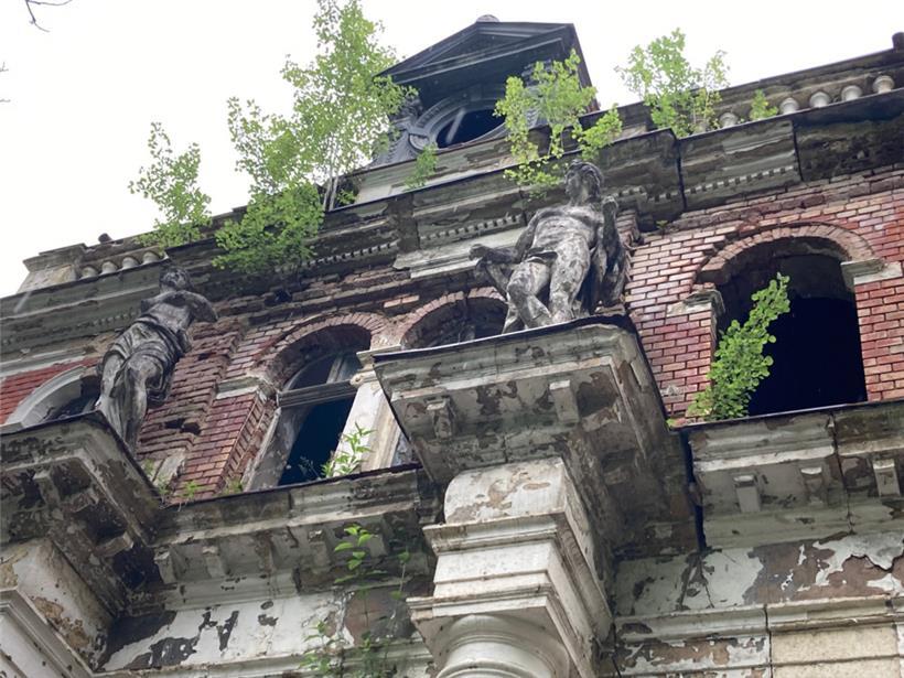 Sprießende Zweige im früheren Kaiserbad
