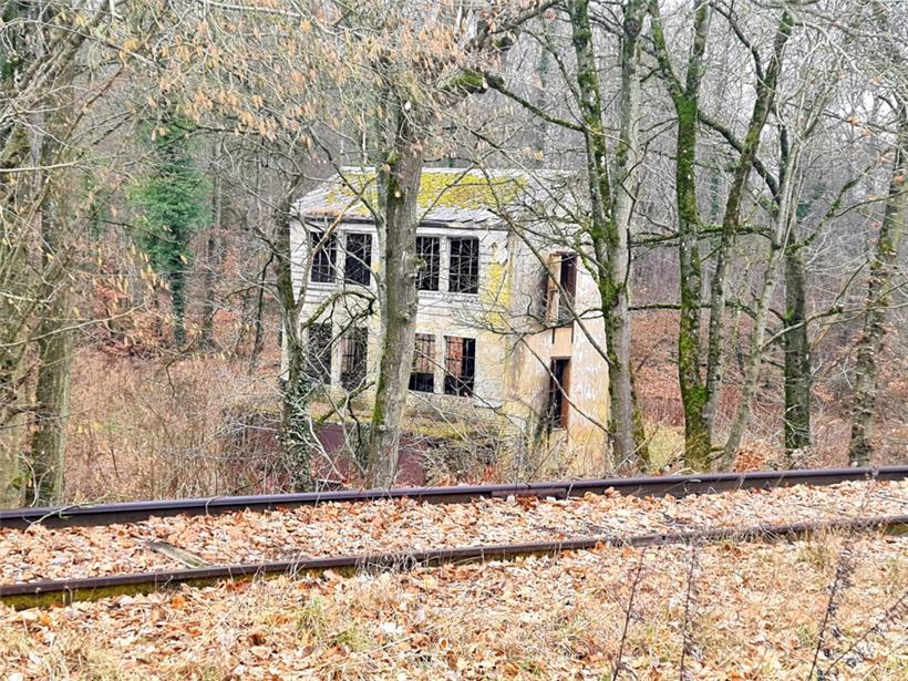 Spuren der Industrie finden sich überall in Mirador: hier ein altes Elektrizitätswerk, das sich die Natur zurückerobert
