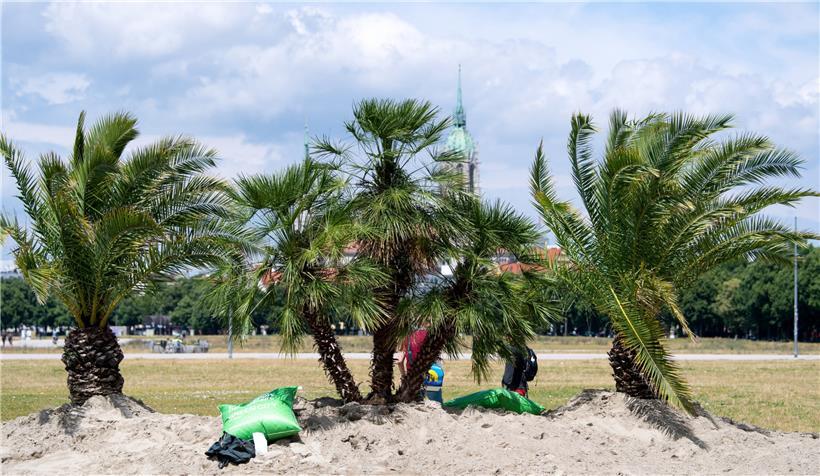 Städtereise, Strandurlaub, Wandern oder Zelten: Wie verbringen Sie am liebsten ihren Urlaub?
