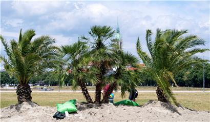 Städtereise, Strandurlaub, Wandern oder Zelten: Wie verbringen Sie am liebsten ihren Urlaub?
