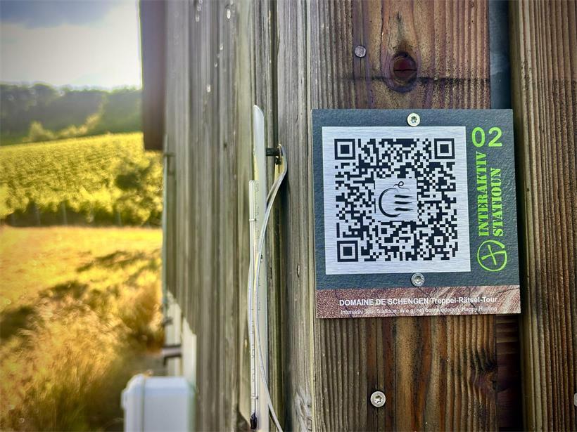Station Nummer 2 mit Informationsschild und Umgebungsdetails für geführte Touren und Orientierung im Freien
