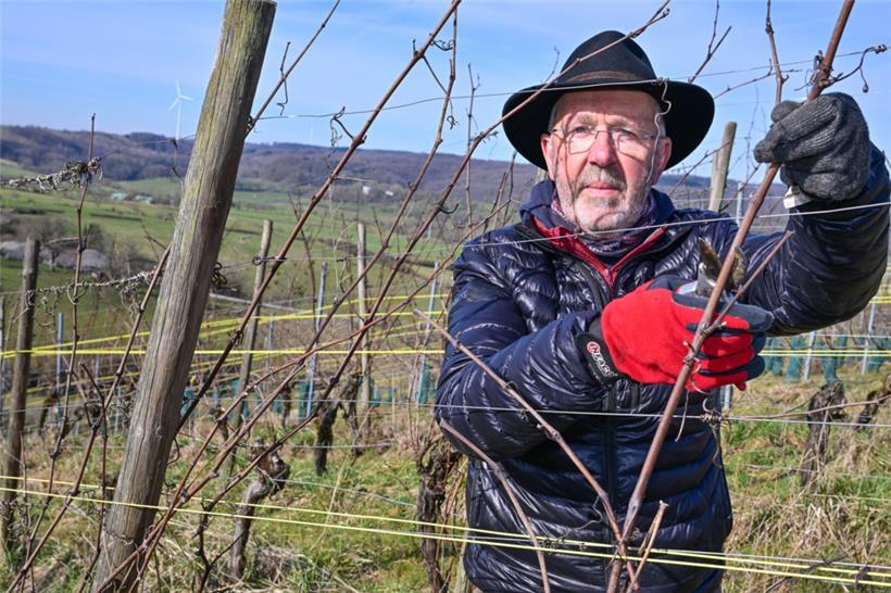Stéphane Singery setzt konsequent auf biologische Arbeitsweise und folgt seinen Überzeugungen
