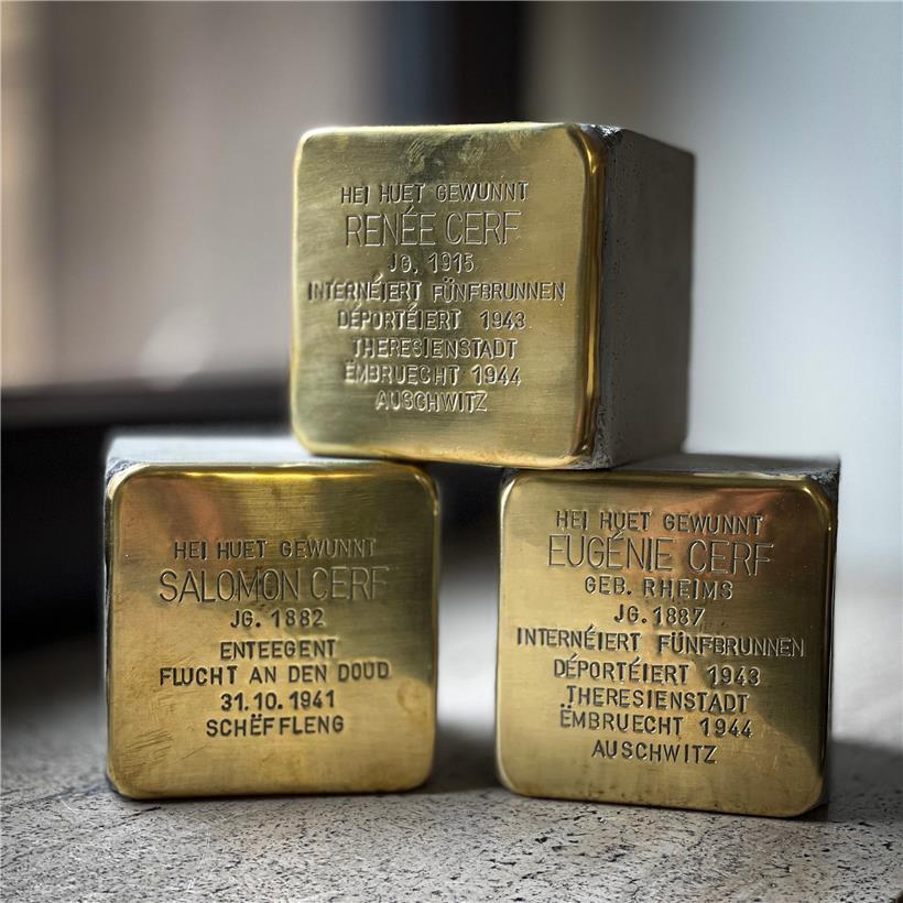 Stolpersteine der Familie Cerf

