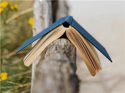 Symbolbild: Auf der Seite „Lust auf Lesen“ gibt es monatlich zwei Buchtipps für Leseratten