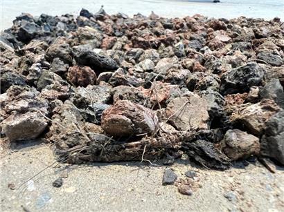 Symbolbild: Die Kunstschaffenden stellen im VEWA Werke aus, für die sie möglichst wenige neue Materialien nutzen durften
