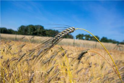 Symbolfoto
