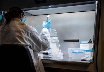 Symbolfoto: In einem Labor werden Proben für einen Coronatest vorbereitet.
