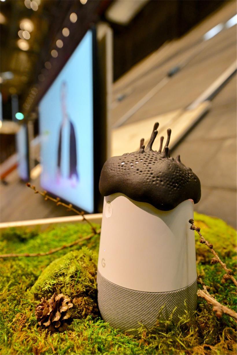 Tarnkappe für mehr Intimität: Damit Siri und Co. uns nicht belauschen können