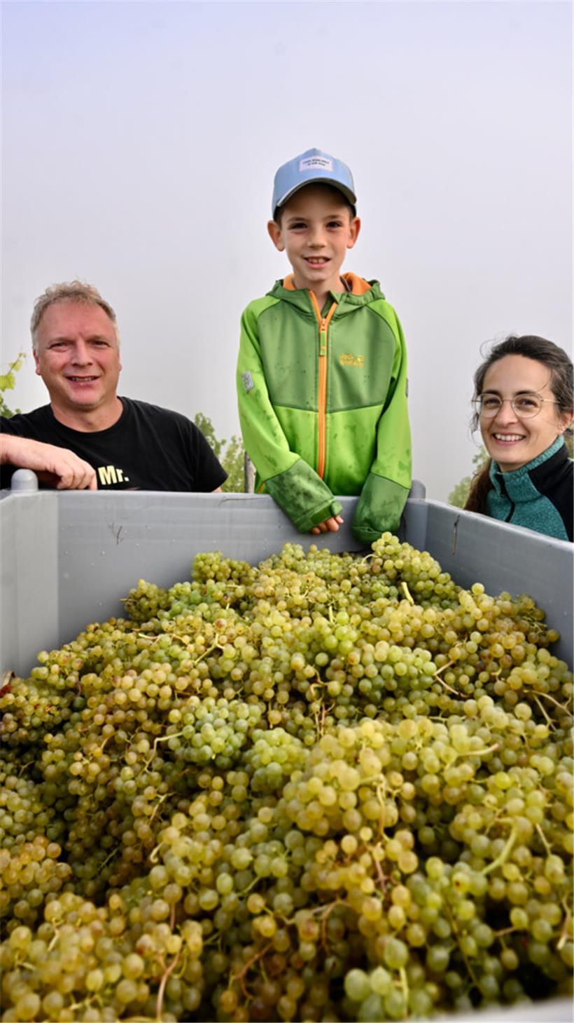 Tatkräftige Helfer mit viel Fachwissen: Joël, Théo und Corinne
