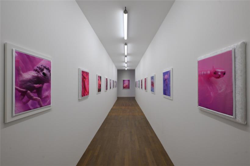 Teil der Ausstellung „Forced Amnesia“ von Mary-Audrey Ramirez