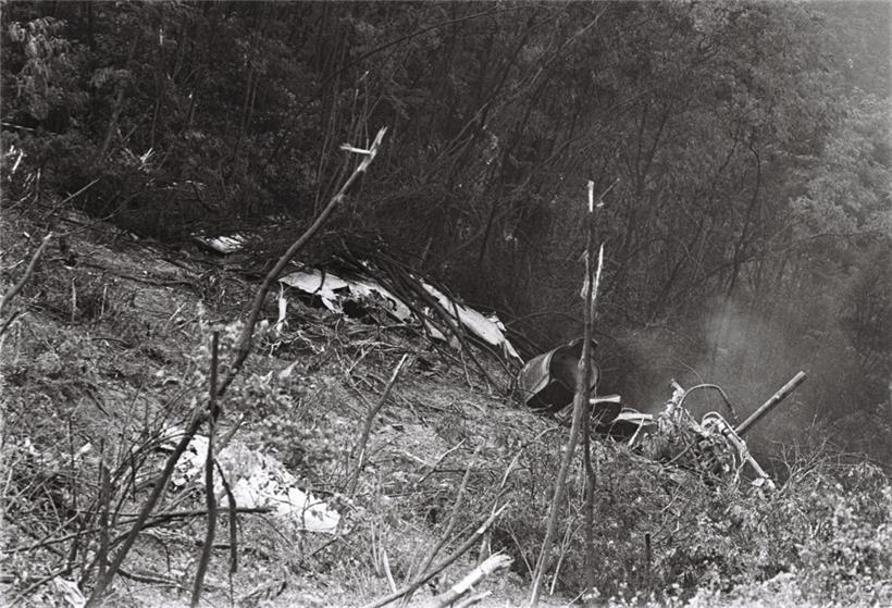 Teile des Flugzeugwracks im Hang des Waldstücks
