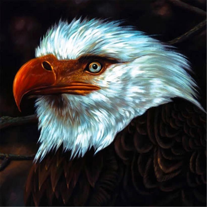 The Hawk Is Howling“ (2008), 8/10
