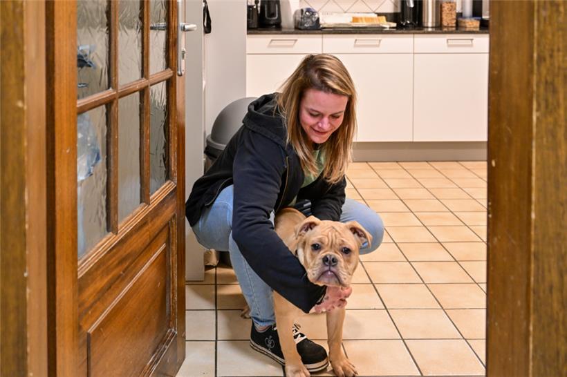 Therapiehund Henri gehört zum Team