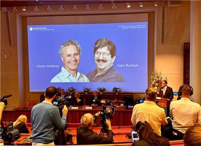 Thomas Perlmann (r), Sekretär der Nobelversammlung, verkündet die Gewinner des Nobelpreises für Medizin 2024, Victor Ambros (l-r, Leinwand) und Gary Ruvkun.
