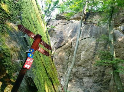 Tiefe Wälder und bizarre Felsformationen: Der Müllerthal-Trail hat alles, was das Wanderherz begehrt
