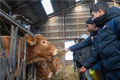 Tiere füttern und streicheln – auch das gehört zum Bauernhofbesuch dazu
