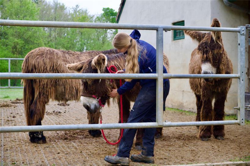 Tierische Persönlichkeiten: Jeder Parkbewohner hat seinen eigenen Charakter – un...