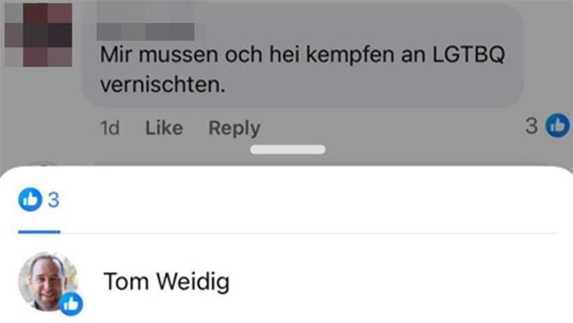 Like unter „LGBTQ vernichten“ – ADR-Abgeordneter Weidig erhält Verwarnung Tom Weidigs Like unter dem LGBTQ-feindlichen Kommentar