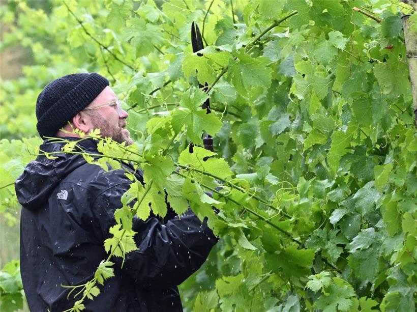 Tom beim Grün-Bashing: Es gab einiges zu tun 
