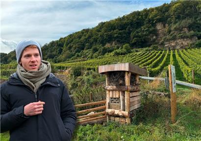 Tom Dall’Armellina vom Gemeindesyndikat SIAS hat mit dem Tageblatt darüber gesprochen, wie man die Biodiversität im Weinberg fördern kann
