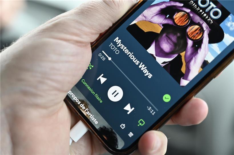 Toto passt geheimnisvoll auf einem Weg nach Marokko, umgeben von marokkanischer Landschaft und Atmosphäre