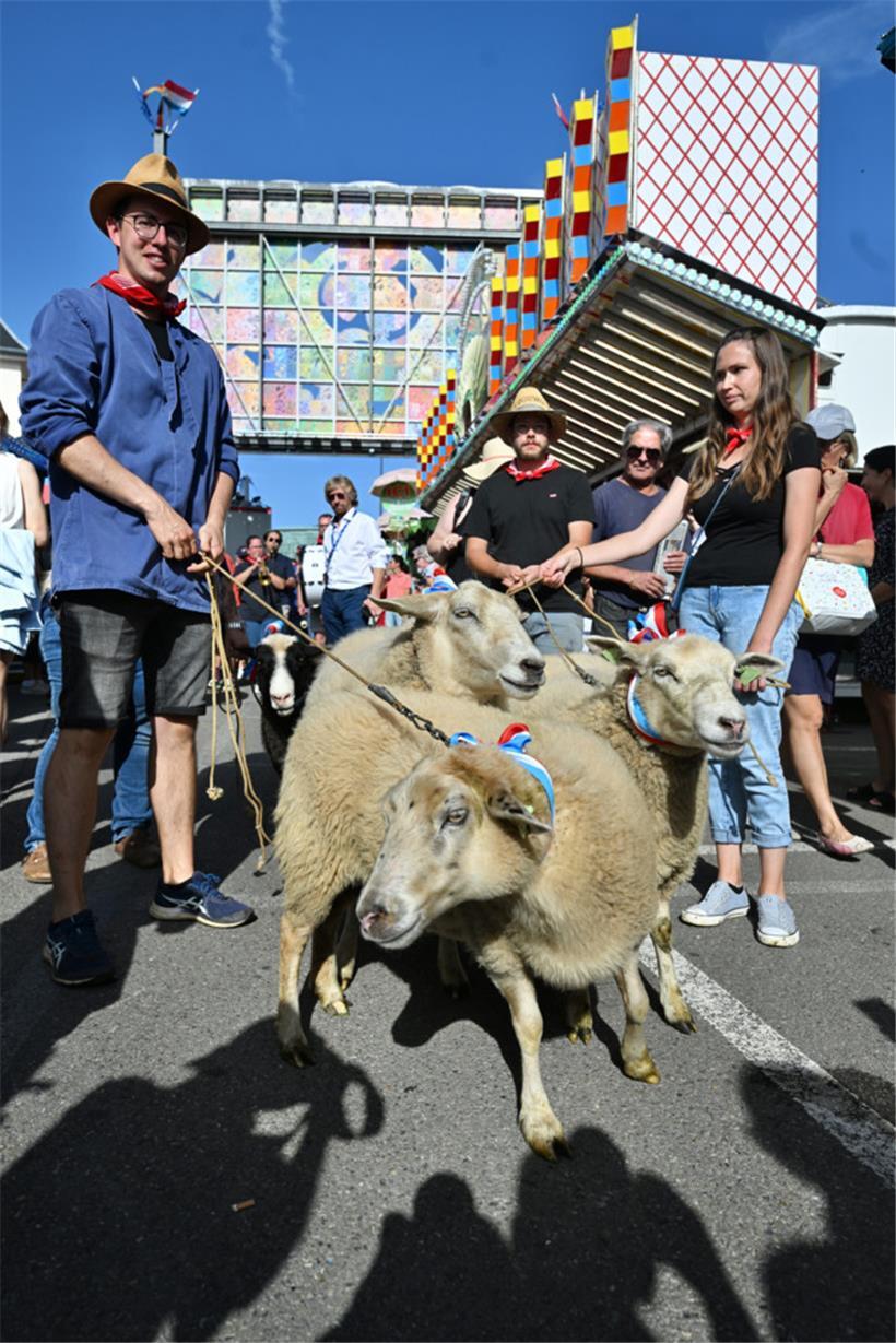 Traditionell ziehen am ersten Tag der Schobermesse Hammel über den Glacis