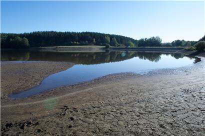 Trockengebiet: Die Gemeinde Weiswampach hat aus dem oberen See Wasser abgelassen
