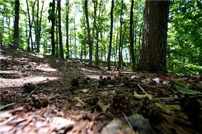 Trotz sofortiger Erstversorgung erlag der Wanderer noch am Unfallort seinen Verletzungen
