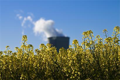 Trügerische Idylle: Ein Kühlturm des AKW Cattenom
