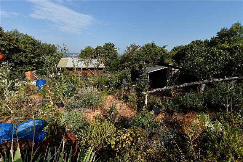 Trügerische Ruhe: Es gärt in den Schrebergärten auf dem „Gaalgebierg“. Den Verantwortlichen der Gemeinde Esch ist klar, dass es sich um ein strukturelles, nicht um ein konjunkturelles Problem handelt. Deshalb wollen Bürgermeister Georges Mischo und seine technischen Dienste durchgreifen. Es geht vor allem darum, jene zu schützen, die im Respekt mit allen Auflagen ihre Gärten…
