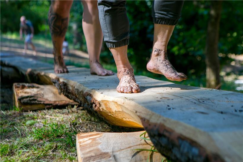 Über 550 Meter lang geht der Rundweg im Park: Die Spaziergänger wagen sich dabei über Kieselsteine oder auch Baumrinden. 

