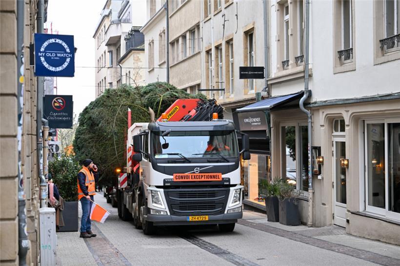 Über die rue Chimay wurde der Baum zur place d’Armes gebracht
