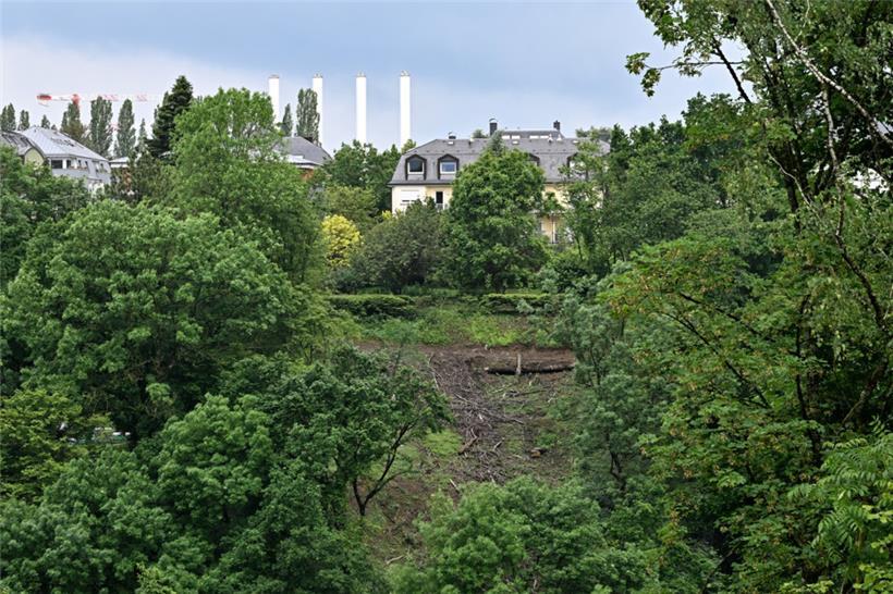Über diese Schneise soll die Brücke in Zukunft von Cents nach Weimershof (auf de...