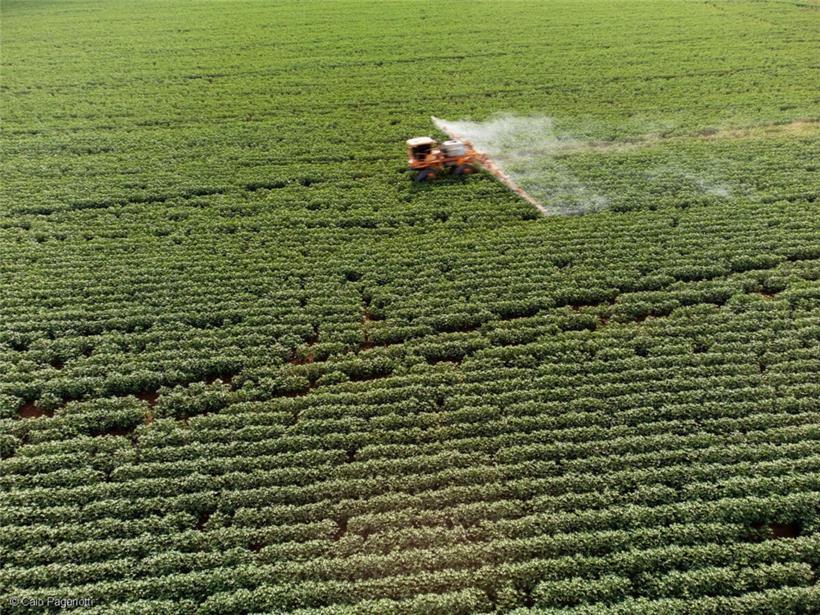 Über einem Sojafeld bei Palmeiras de Goiás in Brasilien werden Pestizide versprüht
