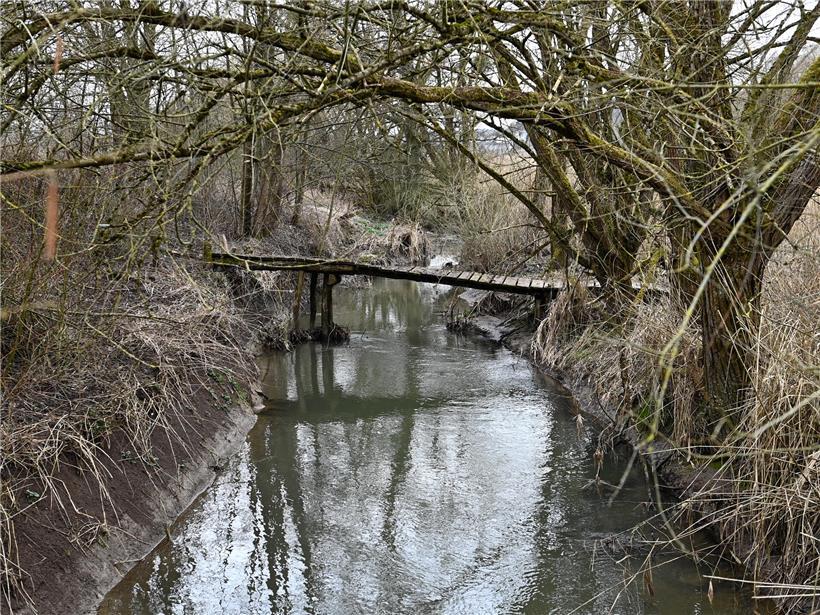 Natürliche Schlammlandschaft in der Réserve naturelle Schlammwiss bei Mensdorf, Uebersyren, Luxemburg, im Frühling 2022