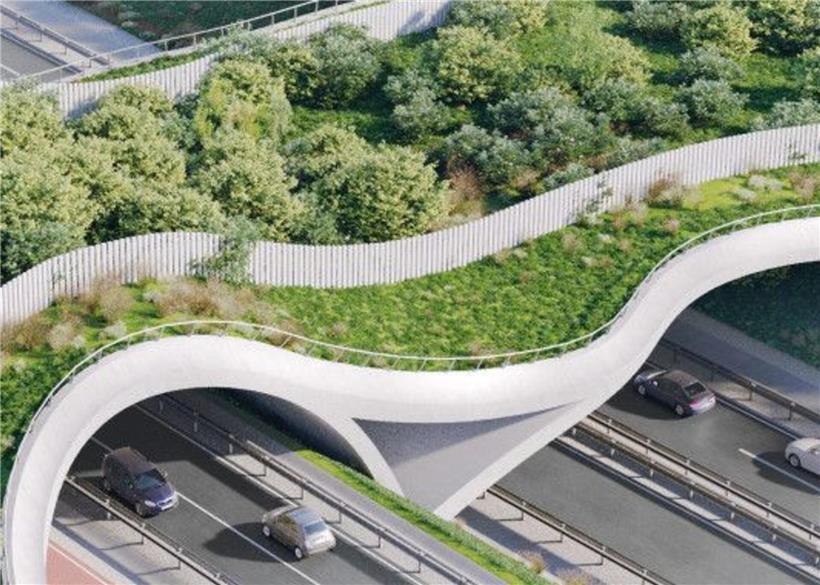 Wildbrücke mit zwei Bögen zur Überwindung von Höhenunterschieden, verlängert Bauzeit für nachhaltigen Wildtierkorridor