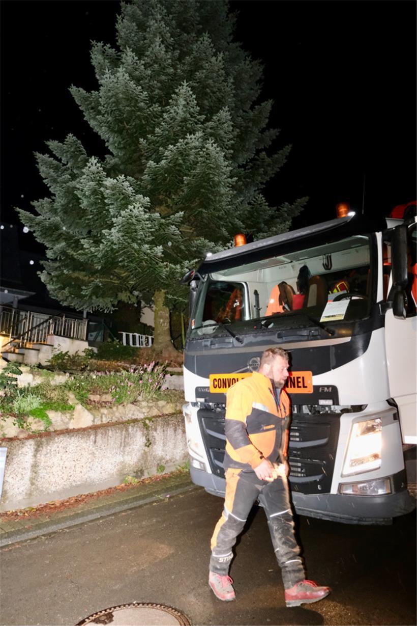 Um kurz vor 7.00 Uhr. Der Baum hat noch keine Ahnung, was ihm gleich blüht