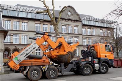 Umzug der Bäume der „Brouch“-Schule
