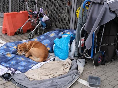 Un angle mort de la protection animale