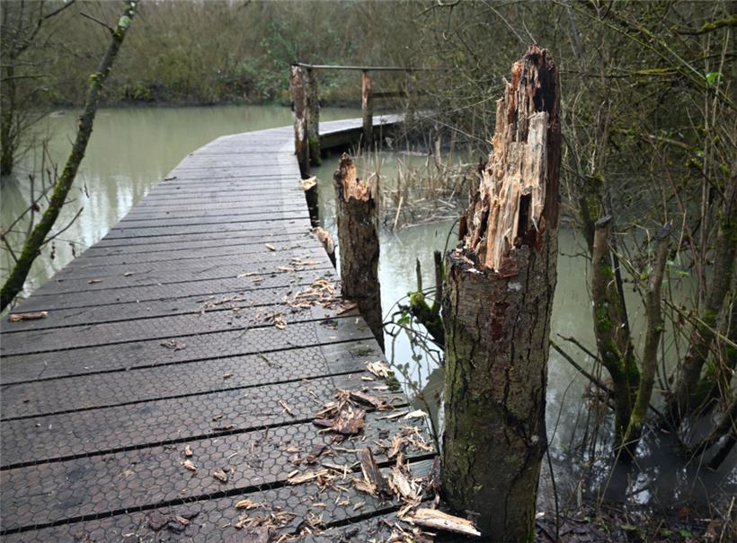Unbekannte haben das Holzgeländer der Brücke zerstört 
