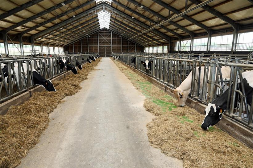 Unter anderem die vorgesehene Deckelung des Viehbestandes sorgte bei den Landwirten für Unmut
