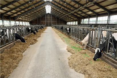 Unter anderem die vorgesehene Deckelung des Viehbestandes sorgte bei den Landwirten für Unmut
