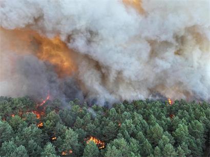Unter den Verantwortlichen für den verheerenden Brand nahe Paris ist unter anderem ein Feuerwehrmann