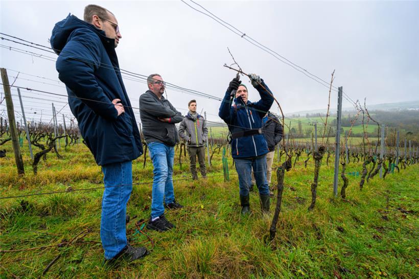 Unter den wachsamen Augen von Tom Schumacher (Mitte) erklärt uns Jorge die Unterschiede zwischen den verschiedenen Rebhölzern
