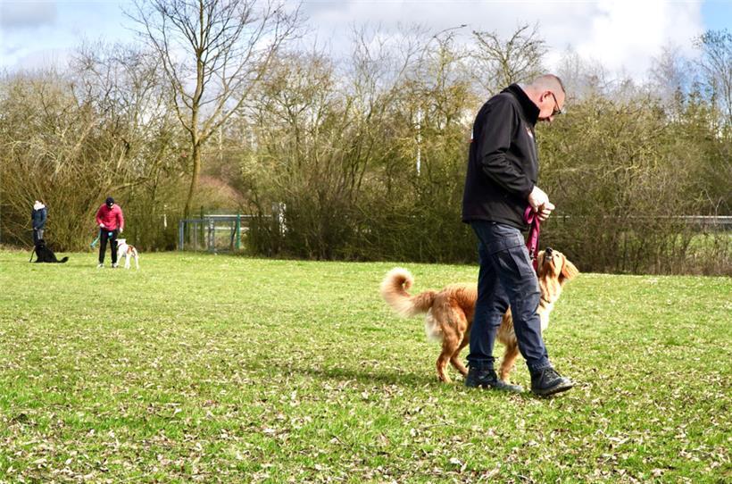 Unter der Anleitung von Didier Rotmans zeigt Bailey vorbildliche Leinenführigkei...