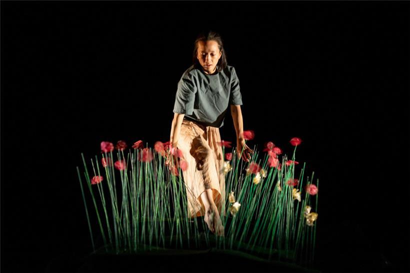 Unter diesen Mohnblumen verstecken sich Schauspieler(innen): Yumé von Edouard Hue
