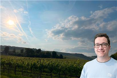 Urlaubsfeeling im Moseltal bei Trittenheim (D)
