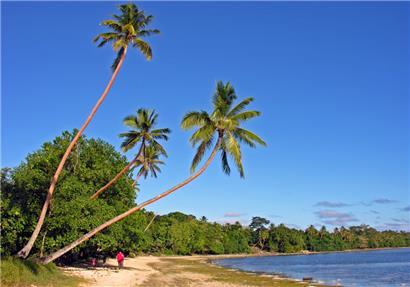 Vanuatu ist laut Weltrisikoindex das am stärksten von Naturkatastrophen bedrohte Land der Welt
