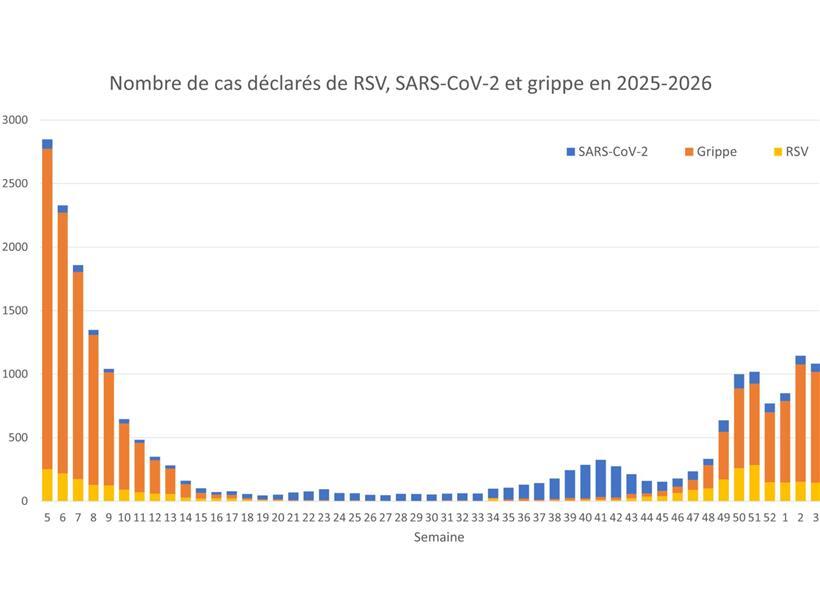 Die Zahlen gehen zurück. Ist Luxemburg über den Grippeberg? Vergangenes Jahr lagen die Infektionszahlen wesentlich höher
