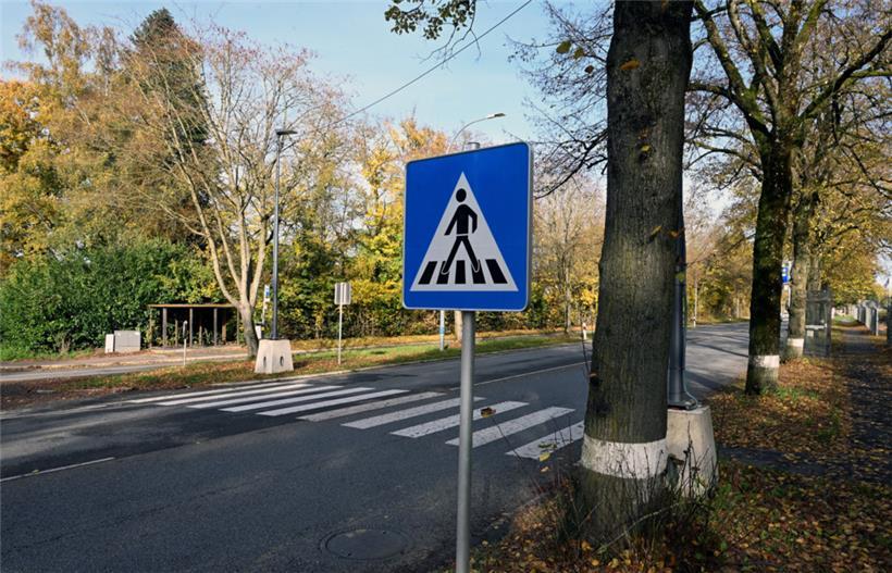 Verkehrsschilder warnen zudem vor dem Fußgängerüberweg